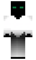 791c4791813007 minecraft skin