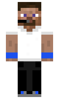 lin09999 minecraft skin