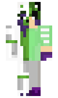 Jaromeisinsan3 minecraft skin