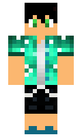 hitapapa minecraft skin
