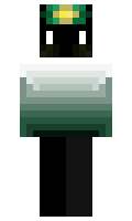 796c15b8341a0f minecraft skin