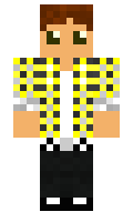 si2 minecraft skin