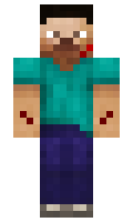 Sebasti88888 minecraft skin