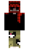 FD1102 minecraft skin