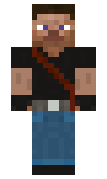 paplaukes minecraft skin