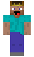 DER minecraft skin