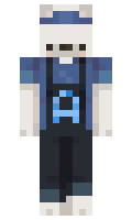 ApsiPapsi minecraft skin