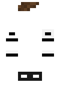 7a4574ca50f9d2 minecraft skin