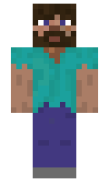 hogalalla minecraft skin