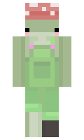 7adbc0a8c6a763 minecraft skin