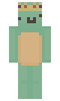snowyturt minecraft skin