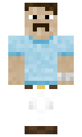 1283 minecraft skin
