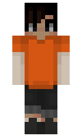 Tapochek minecraft skin