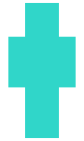 surfercast minecraft skin