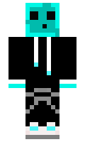 wills01 minecraft skin