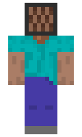 Qyi minecraft skin