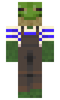 mooimafrog minecraft skin