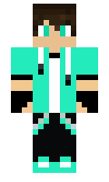 minefox minecraft skin