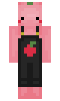7b8ce05ebac2cf minecraft skin