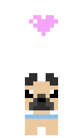 amno minecraft skin