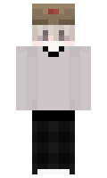 asii minecraft skin