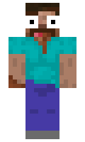 ElegantAri minecraft skin