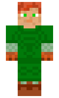 VisitorMidir minecraft skin