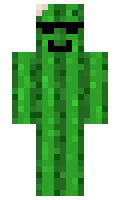 pankaktus minecraft skin