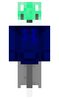 Physip minecraft skin