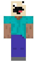 ewgrtwnh minecraft skin