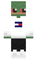 maxopka minecraft skin