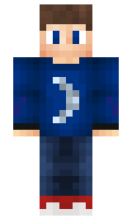 NightPlay minecraft skin