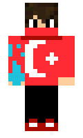 BozKurT minecraft skin