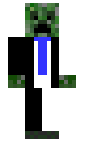 rife minecraft skin