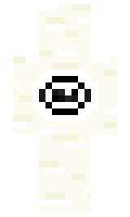 proster14 minecraft skin