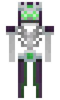 gunbare minecraft skin