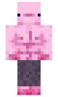 N1stis minecraft skin