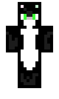 liorenss23 minecraft skin