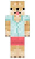 hllylwrnc minecraft skin