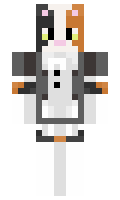 RoaringJs minecraft skin