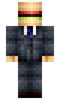 Hamburtle minecraft skin