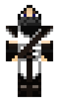 rober minecraft skin