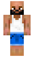 quile minecraft skin