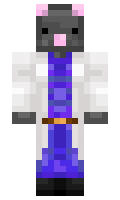 Vermein minecraft skin