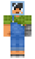 7d43adbc215b7d minecraft skin