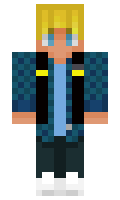 parry minecraft skin
