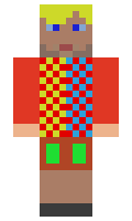hgeri minecraft skin
