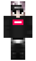 PluralObjekt minecraft skin