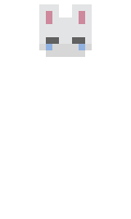 dads minecraft skin