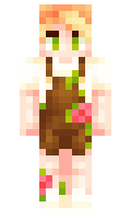Kastom minecraft skin